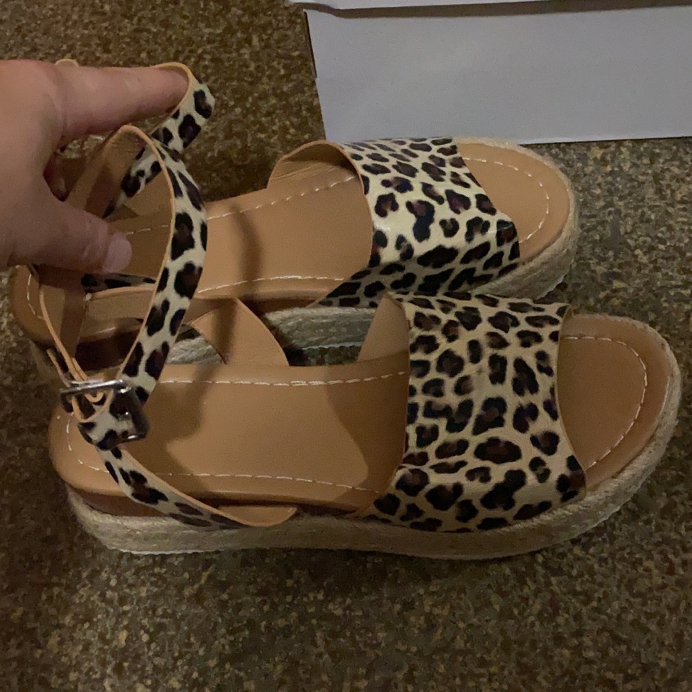 Who doesn’t love cheetah?